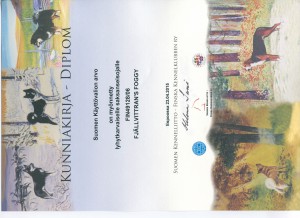 Foggy's Diploma